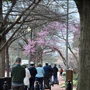 Seniors And Scooters